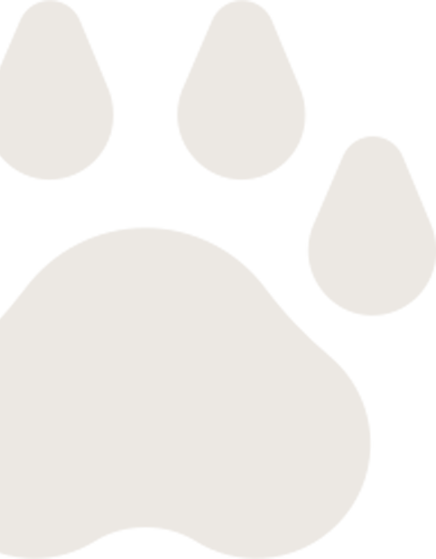 Pet store, Pet salon, Grooming, Veterinary clinic, Dog food, Pet food, Pet accessories, Pet vaccination, Pet care, Pet treatment, Pet services, Pet checkup, Pet care, Pet shop, Dog clinic